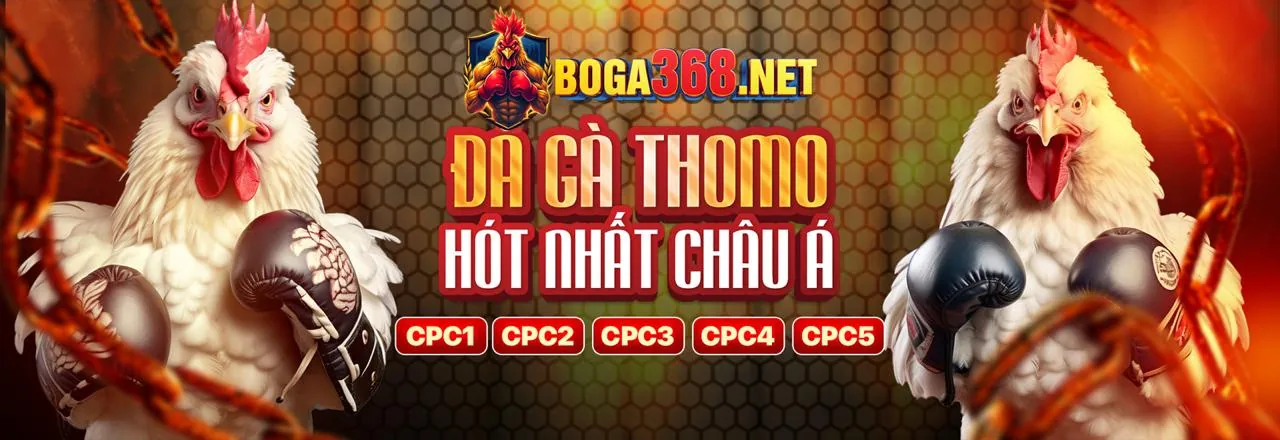 Chương trình đối tác i9bet