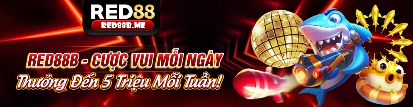 Hình ảnh tổng quan về i9bet, nền tảng cá cược trực tuyến hàng đầu